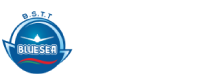 Blue Sea Transportation Trading Co., Ltd