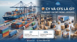 CY và CFS là gì? Phân biệt chi tiết trong logistics
