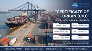 Certificate of Origin là gì? Các mẫu C/O phổ biến hiện nay